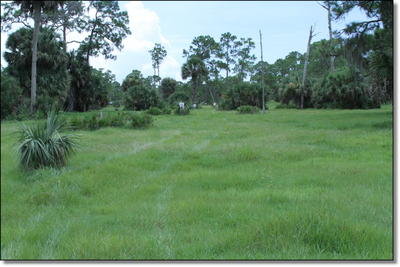 Burris Eliminator Laserscope - Rangefinder Built In! Burris Eliminator Laserscope - Rangefinder Built In!