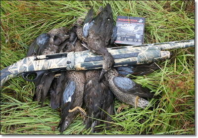 Duck Hunting in September Duck Hunting in September