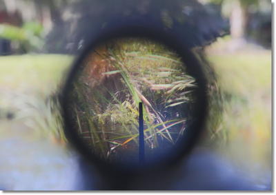 M1 Garand Sniper Variants M1C & M1D - Part 4 Garands from the Government M1 Garand Sniper Variants M1C & M1D - Part 4 Garands from the Government