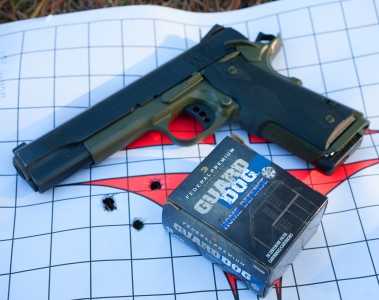 It was a tough day on the range, one that claimed a chrony screen and scattered groups—undeniably shooter error. Despite the frustration, the author did get a five, five-shot group average of 2 1/4 inches with Federal Premium Guard Dog loads at 25 yards. But, he's seen the CQB Elite do much better. 