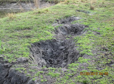 Mossberg Silver Reserve II Over/Under Shotgun—New Gun Review Mossberg Silver Reserve II Over/Under Shotgun—New Gun Review