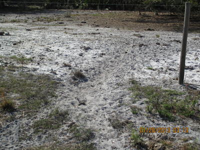 Mossberg Silver Reserve II Over/Under Shotgun—New Gun Review Mossberg Silver Reserve II Over/Under Shotgun—New Gun Review