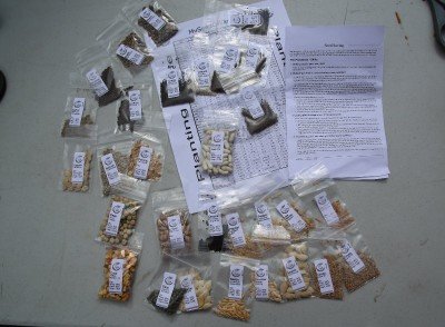Prepping 101: Seeds - Don't Screw It Up! All of the packets from the MySeedCellar pack.