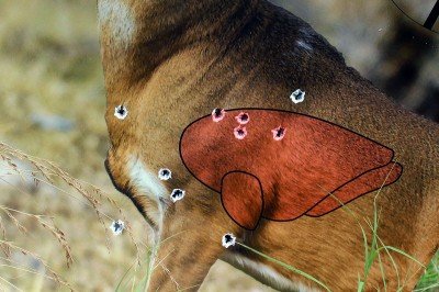 The Ruger Mini Thirty, an Alternative to the AK Ruger Mini 30