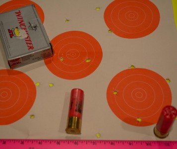 Winchester 3-inch, 15-pellet buckshot at 10 yards.