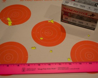 Winchester 2 ¾" 9-pellet 00 buckshot at 10 yards.
