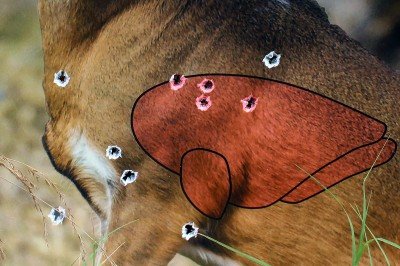 Shoot and see with Shoot-N-C Birchwood Casey