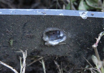 Steel Target Torture - Action Targets PT Tactical Torso One of the legs intentionally shot for demonstration. Don't do this at home!