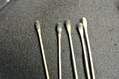 RamRodz--Gun Cleaning Made Even Easier 11The .22 Ramrodz look more like something you would stick in your ears, but they are sharper than your elbow.