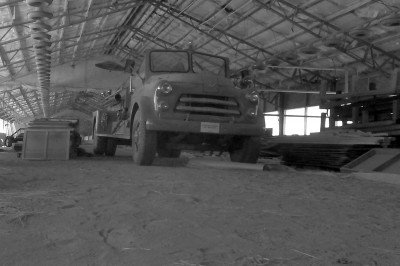 StealthCam--See What You're Missing stealth cam