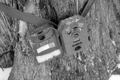 StealthCam--See What You're Missing stealth cam