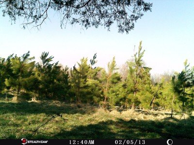 StealthCam--See What You're Missing stealth cam