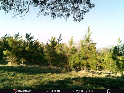 StealthCam--See What You're Missing stealth cam