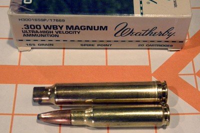 To give you an idea of the size of the rounds, an empty .300 Wby Mag case is longer than a fully loaded .308 Win round.