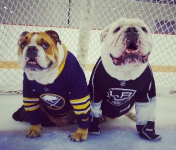 When is it okay to shoot man's best friend? My buddies, Winston and Wallace.