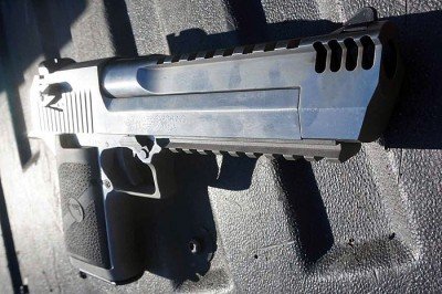 New All Stainless Desert Eagle--Gun Review The stainless steel will be much easier to maintain than the blued versions, or chromed versions.