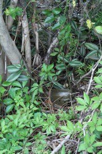 Prepping 101: Perimeter Alarm Security - The Wireless Options The first intrusion detection system here is the military TRC-3. They can be found at Army surplus stores, gun shows, and online occasionally for $200 to (ouch) almost $1,000. They were made in the late 1960s and still work great today. There is no complete package that is comparable today.