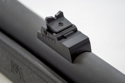 The rear sight is adjustable for windage and elevation, or, like the front sight, you can remove the whole thing.