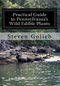There are over 3,000 titles in Amazon on edible wild plants, but narrow your search to your state and you'll find some very specific books.  This series of "Pratical Guide" books has mixed reviews.
