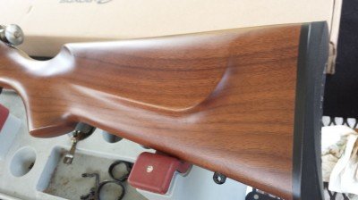 Boyds has a lot of different designs and types of wood. This model has a European style raised cheekpiece.