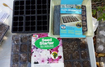 You can find trays for seedlings at most garden supply stores and even at Walmart. To get started, these work great.