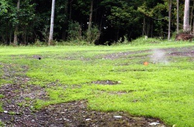 Yours truly misses a rabbit. These rabbits are true pairs moving right to left. You generally shoot the rear target first and sweep through the front target. They look easy but can be challenging, especially when they hit a bump and jump.
