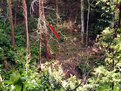 This trap at the bottom of a ravine is difficult to see. It throws a bird that’s nearly as difficult to break.