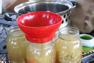 Of all the canning toys you can buy, I would suggest the jar lifter and this filling funnel that has the headspace marked on it.