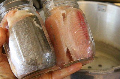 For my third batch I tried some fish 