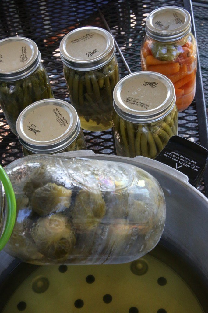 On removing the jars, I knew that I had screwed up.  But surprisingly only this jar of brussel sprouts failed to seal. 