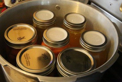 This is the second batch, with the concave plastic Tattler lids. They worked awesome, but I have no idea how easy they will be to get off without damaging the ring. 