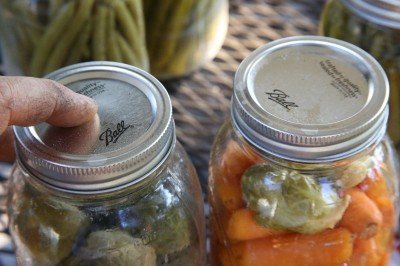 The way you can tell if your seal took is by pressing down on the lid. If it is bouncy, it didn't seal. If it is hard and concave, it sealed. 