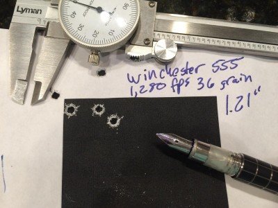 Even inexpensive bulk ammo shot well, like this Winchester 555 pack.