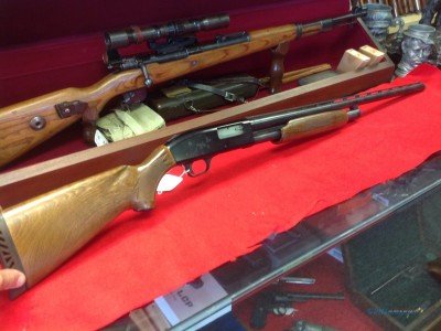 If you want a more versatile gun, sporting options allow you to hunt and defend.