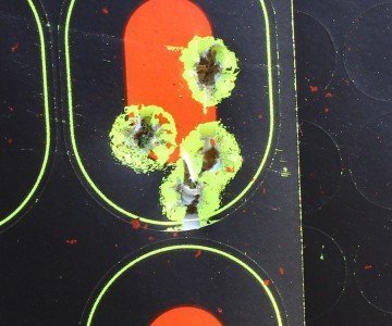 This group is from the bench at 25 feet. Accurate enough for reliable shot placement. 