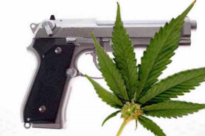 marijuana_gun_law