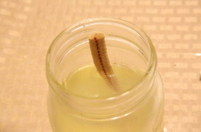 I personally have had fits with keeping wick lanterns lit in extreme cold in the Boston area, but for these tests I couldn't get diesel to gel in my freezer to the point where it wouldn't reliably wick in a 1/2" cotton wick. 