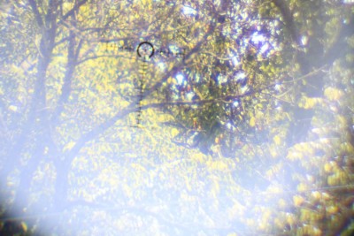 It lights up red and green, which makes it easier to see, but I still prefer the crisp lines of the black. 