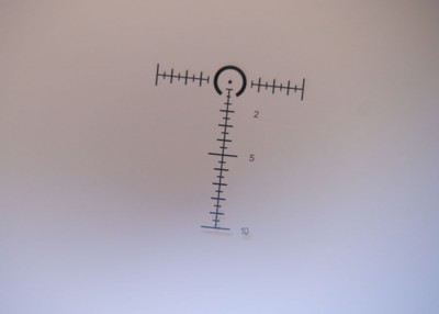 The reticle in the Burris is ideal for a QCB rifle, and versatile enough for longer ranges. 