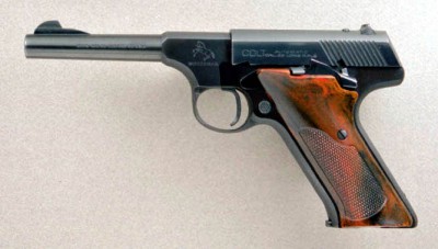 A 2nd series.  The mag release button is only of these.