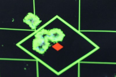 Another group from 25 feet, the floater is my fault. 