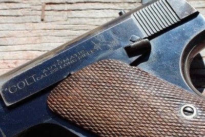 Thumb Saftey and what looks like might be a grip saftey... it's not just the main spring hosing. 