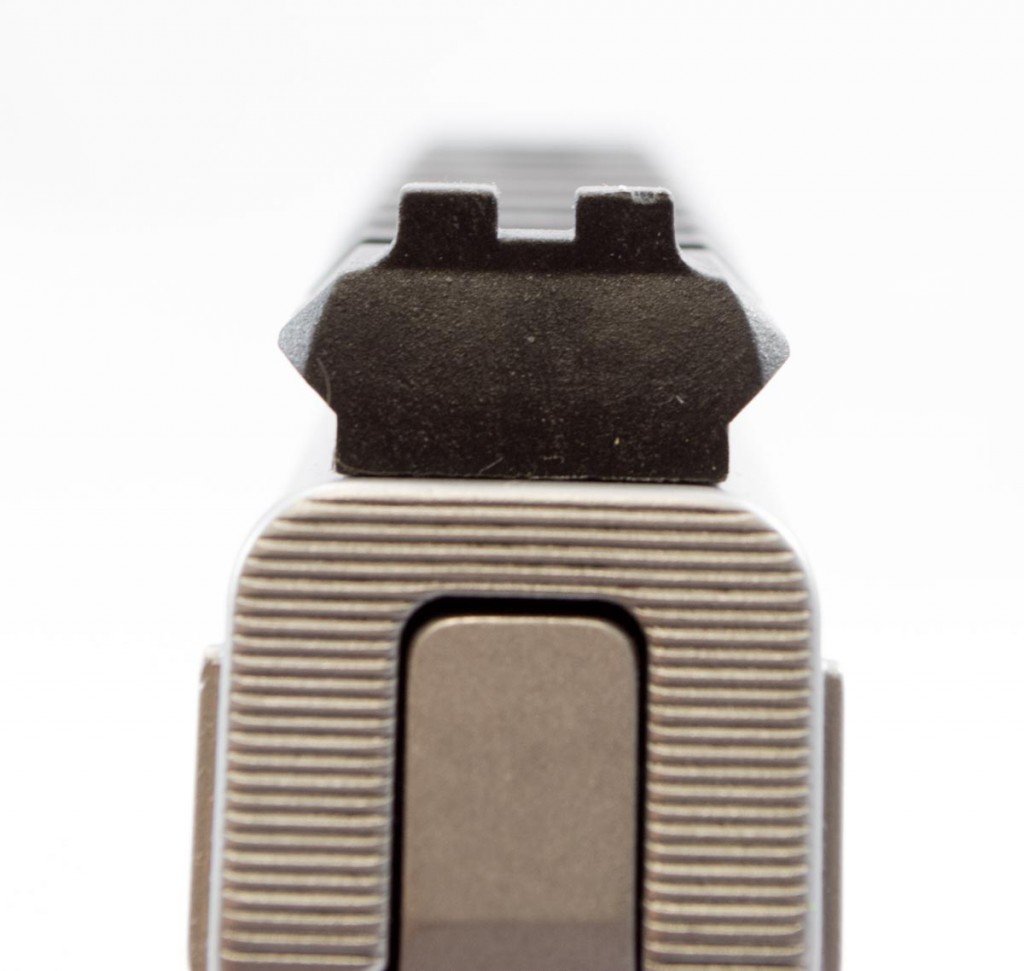 The Picatinny rail has a rear sight notch without the fiber optic tubes.