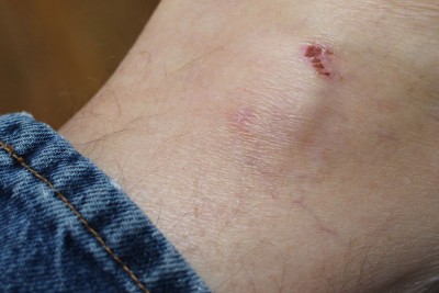 Clipping in a gun may wear differently than you expect. The P3AT tended to rub on my ankle. Easy enough to fix, though. 
