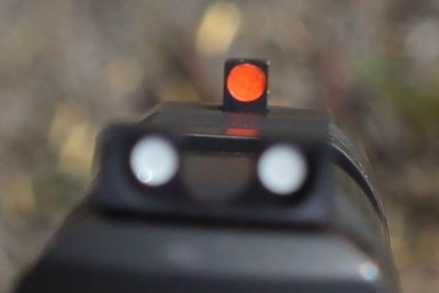 That big orange front sight is visible on almost everything that isn't orange.