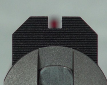 The blacked-out rear sight is perfect for a quick focus on the front, where it belongs.