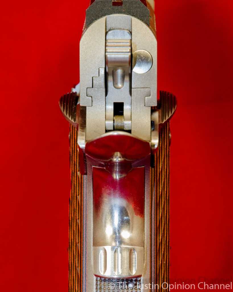 The author opted for an ambi safety, for times one must shoot weak hand only in a match.