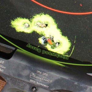 Full magazine from 15 feet. 