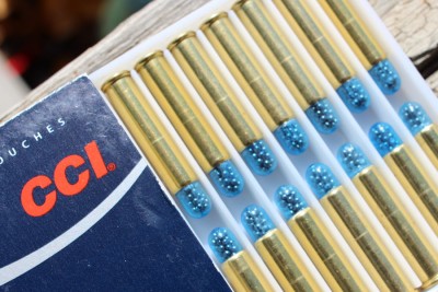 .22 WMR Shot shells. Bitter little pills. 