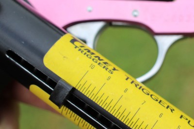 Mother's Day is Coming--Chic Lady for your Mom? Double-action, 10 pounds.